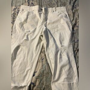 Terra sky white jean Capri 22